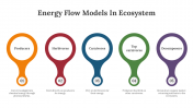 400427-Energy-Flow-Models-In-Ecosystem_04