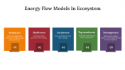 400427-Energy-Flow-Models-In-Ecosystem_05