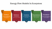 400427-Energy-Flow-Models-In-Ecosystem_07