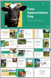 Cow Appreciation Day PowerPoint and Google Slides Themes