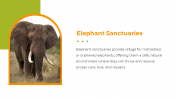 400580-National-Elephant-Appreciation-Day_10