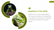400582-National-Reptile-Day_08