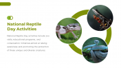 400582-National-Reptile-Day_13