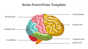 Attractive Brain PowerPoint And Google Slides Themes