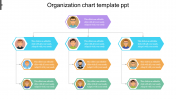 Best Organizational Chart Template PPT and Google Slides
