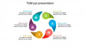 Affordable TQM PPT Presentation Design-Continuous Model