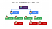 Microsoft PowerPoint Organization Chart and Google Slides