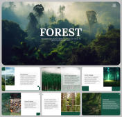 Forest PowerPoint Presentation and Google Slides Themes