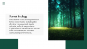 47145-Forest-Template-PowerPoint-Free_03