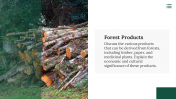 47145-Forest-Template-PowerPoint-Free_06