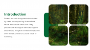 47338-Forest-PowerPoint-Template_02