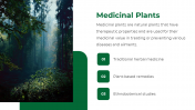 47338-Forest-PowerPoint-Template_06