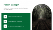 47338-Forest-PowerPoint-Template_07