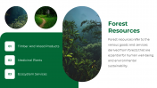 47338-Forest-PowerPoint-Template_10