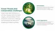 47338-Forest-PowerPoint-Template_11