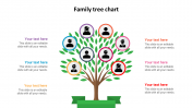 family tree chart design