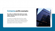 Best Company Profile Examples Slide Template Presentation