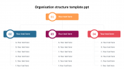 Engrossing Organization Structure Template PPT Presentation