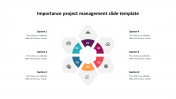 Attractive Importance Project Management Slide Template