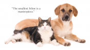 479377-Free-Dog-and-Cat-Backgrounds-For-PowerPoint_03