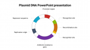 Effective Plasmid DNA PowerPoint Presentation Design