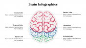 500018-Brain-Infographics_08