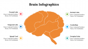 500018-Brain-Infographics_12