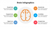 500018-Brain-Infographics_14