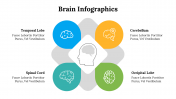 500018-Brain-Infographics_20