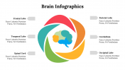 500018-Brain-Infographics_25