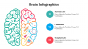 500018-Brain-Infographics_30