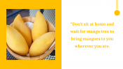500033-Indian-National-Mango-Day_03