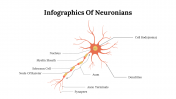 Creative Infographics Of Neuronians PPT And Google Slides