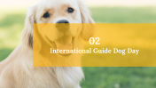 500075-International-Guide-Dog-Day_05