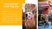 500075-International-Guide-Dog-Day_06