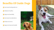 500075-International-Guide-Dog-Day_15
