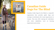 500075-International-Guide-Dog-Day_27