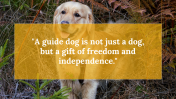 500075-International-Guide-Dog-Day_30