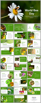 World Bee Day PPT Presentations And Google Slides Themes