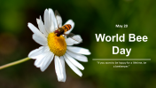 World Bee Day PPT Presentations And Google Slides Themes