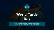 500108-World-Turtle-Day-_01