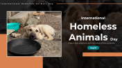 International Homeless Animals Google Slides Templates