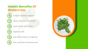 500272-Watercress-Nutritional-Values_04