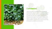 500272-Watercress-Nutritional-Values_12