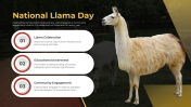 National Llama Day PowerPoint And Google Slides Template