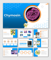 Elegant Chymosin PowerPoint And Google Slides Templates
