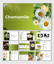 Attractive Chamomile PowerPoint And Google Slides Templates