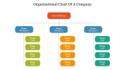 Impressive Organizational Chart Of A Company PPT Slide