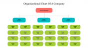 Imaginative Organizational Chart of a Company Prsentation