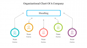 Our Predesigned Organizational Chart Of A Company Templates